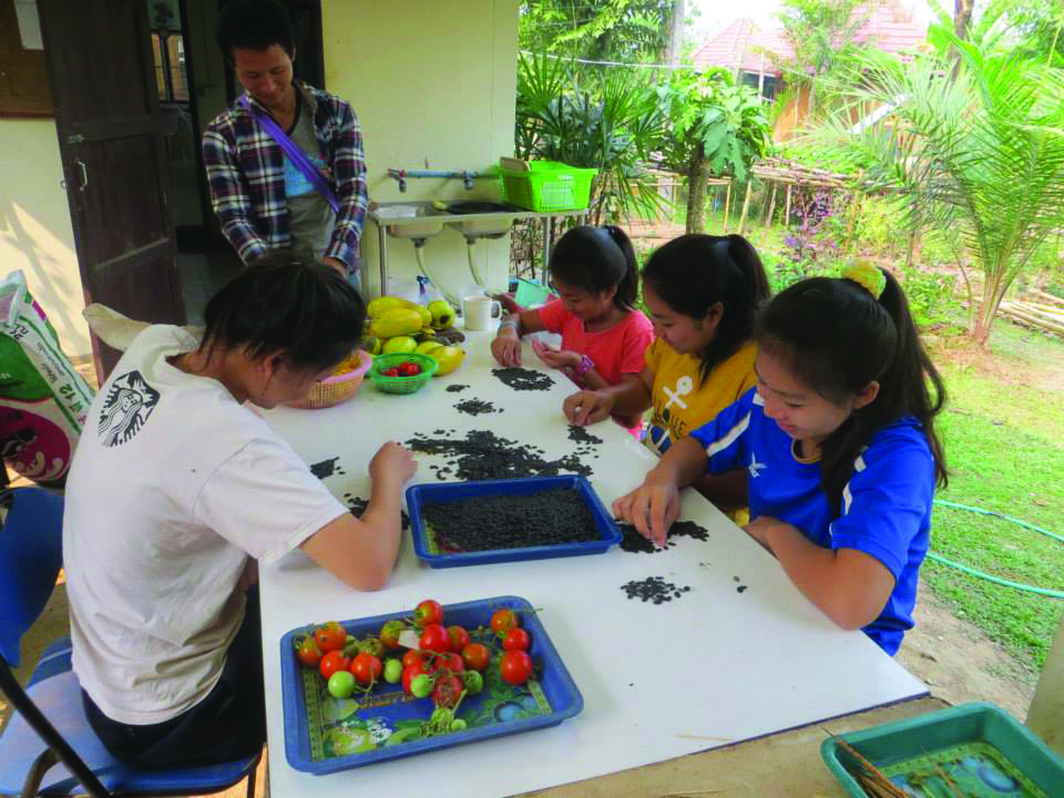 Volunteers in Thailand sort seeds by hand to assist the ECHO Asia Seed Bank as they provide seeds across the Region