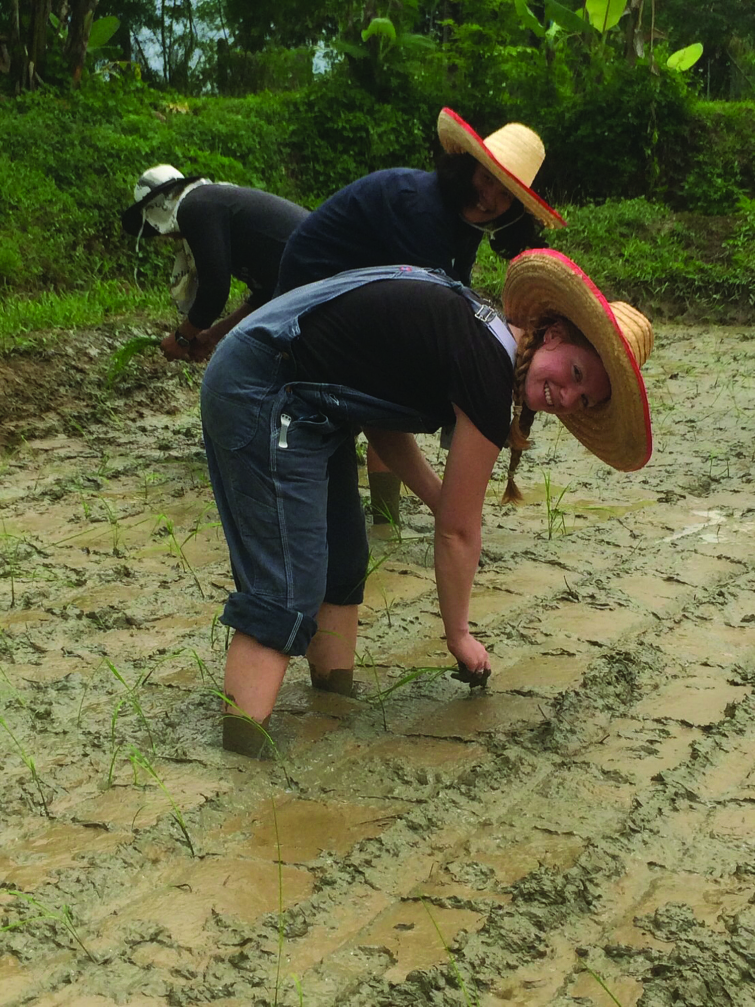 Chrissy’s experience with Thailand’s ecology was just as diverse as her experience with its people. Planting SRI rice at a training in Thailand was a highlight.