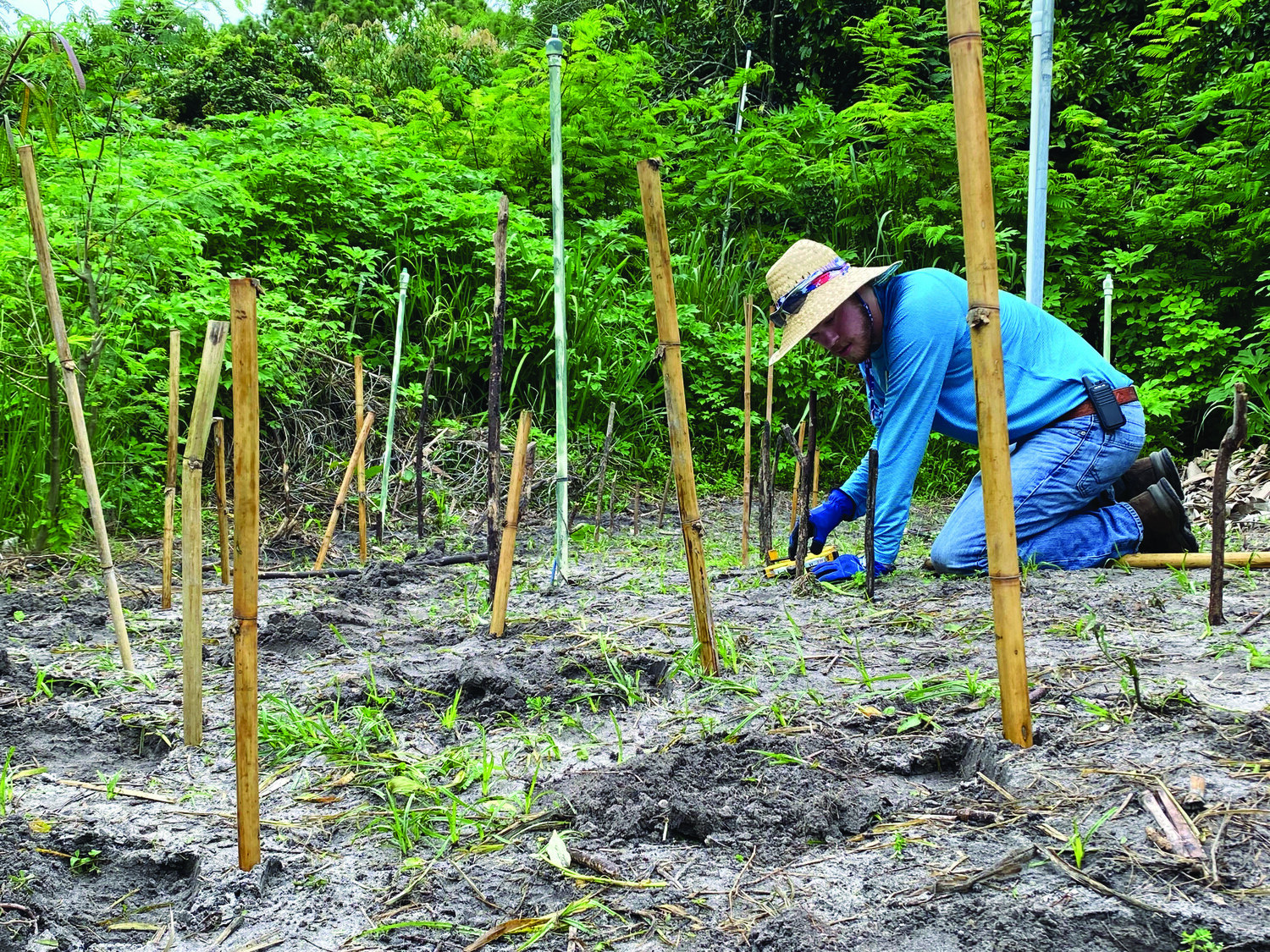 John Yann plans planting stations for a plot of corn on the Tropical Highlands.