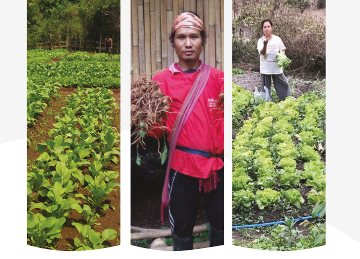 ECHO Asia seeds are multiplied as Mr. Puk, center, and others have planted them in their gardens across Thailand.